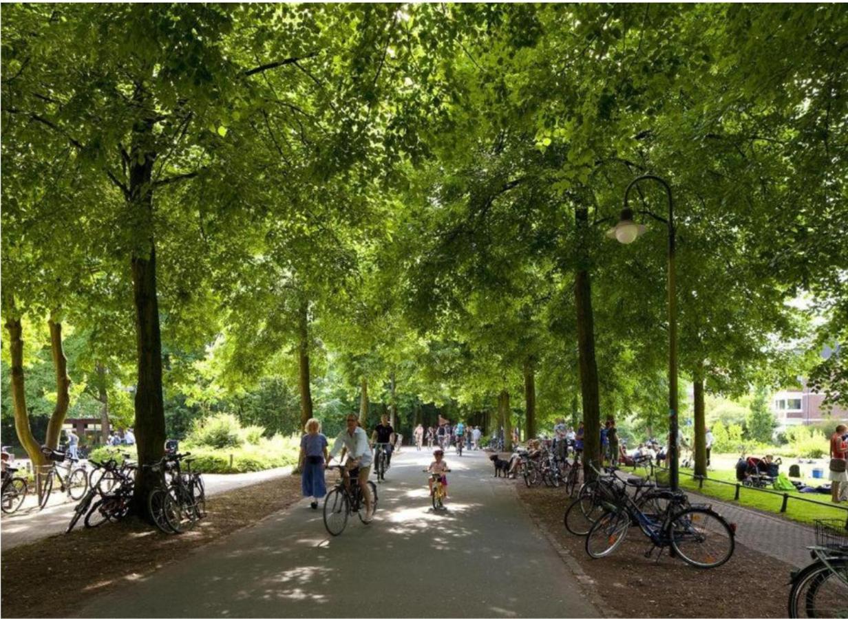 Gemuetliches Und Modernes Apartement In Gruenen Top-Lage Muenster 外观 照片